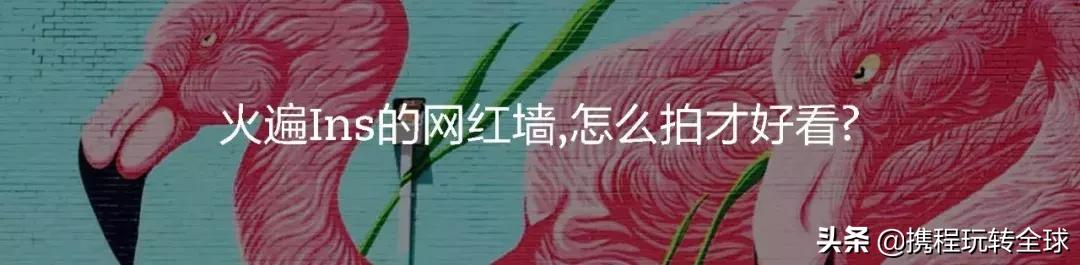 冲绳2月看樱花,冲绳哪里看樱花