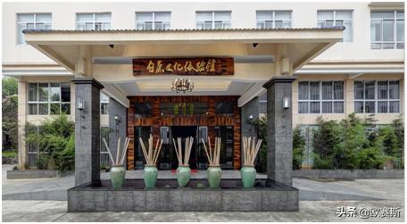 深度分析白茶市场,白茶品牌化发展道路要怎么走