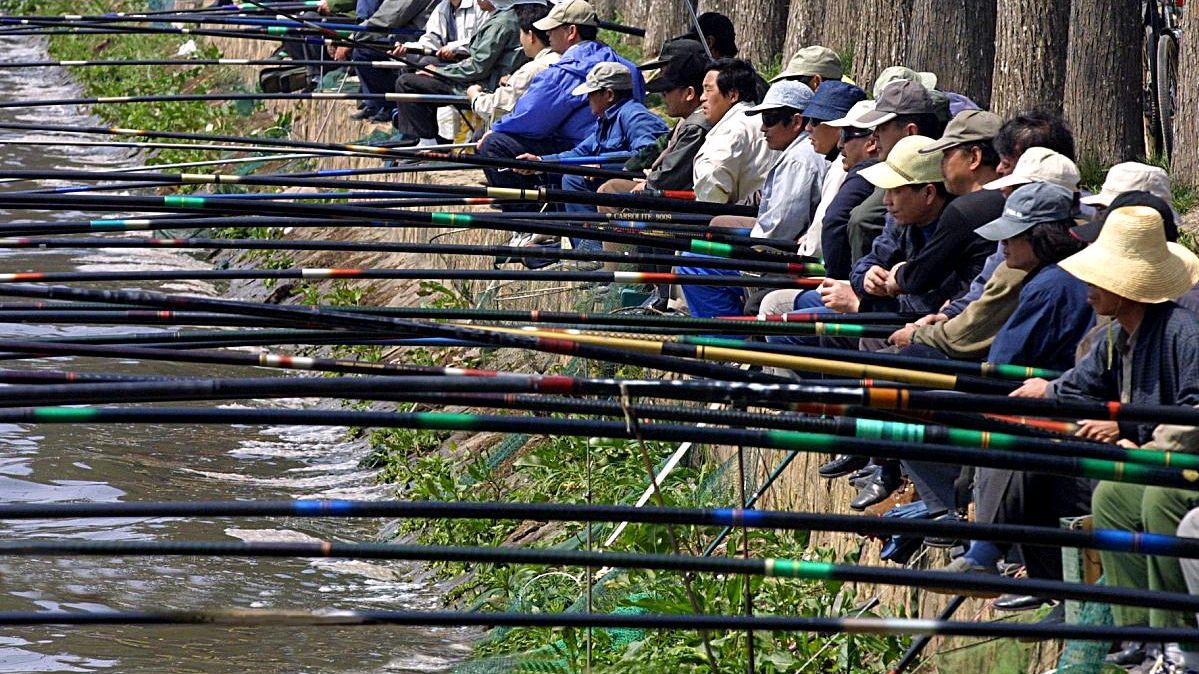 新手如何选择鱼竿,新手如何选鱼竿的调性