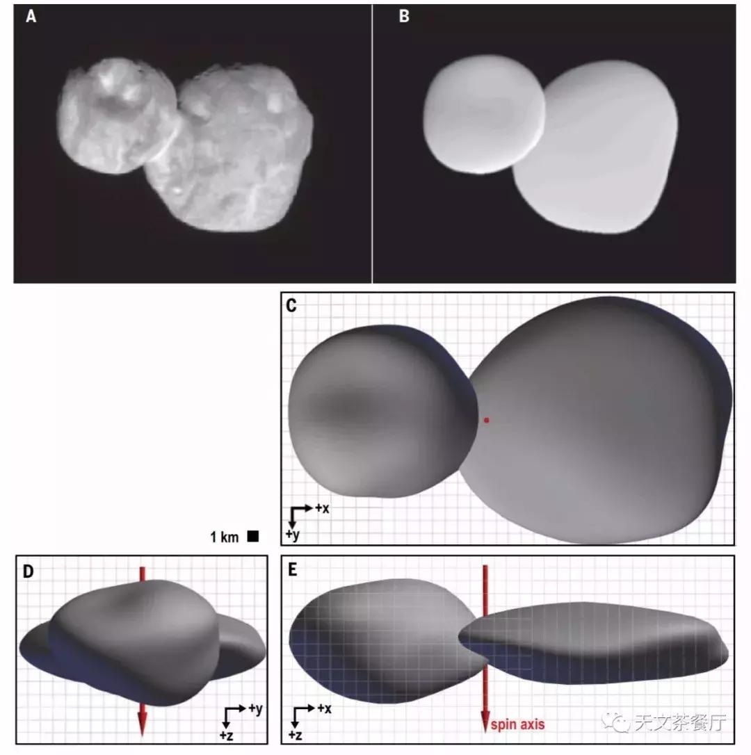science发表最新人类脑图谱,science科学实验视频