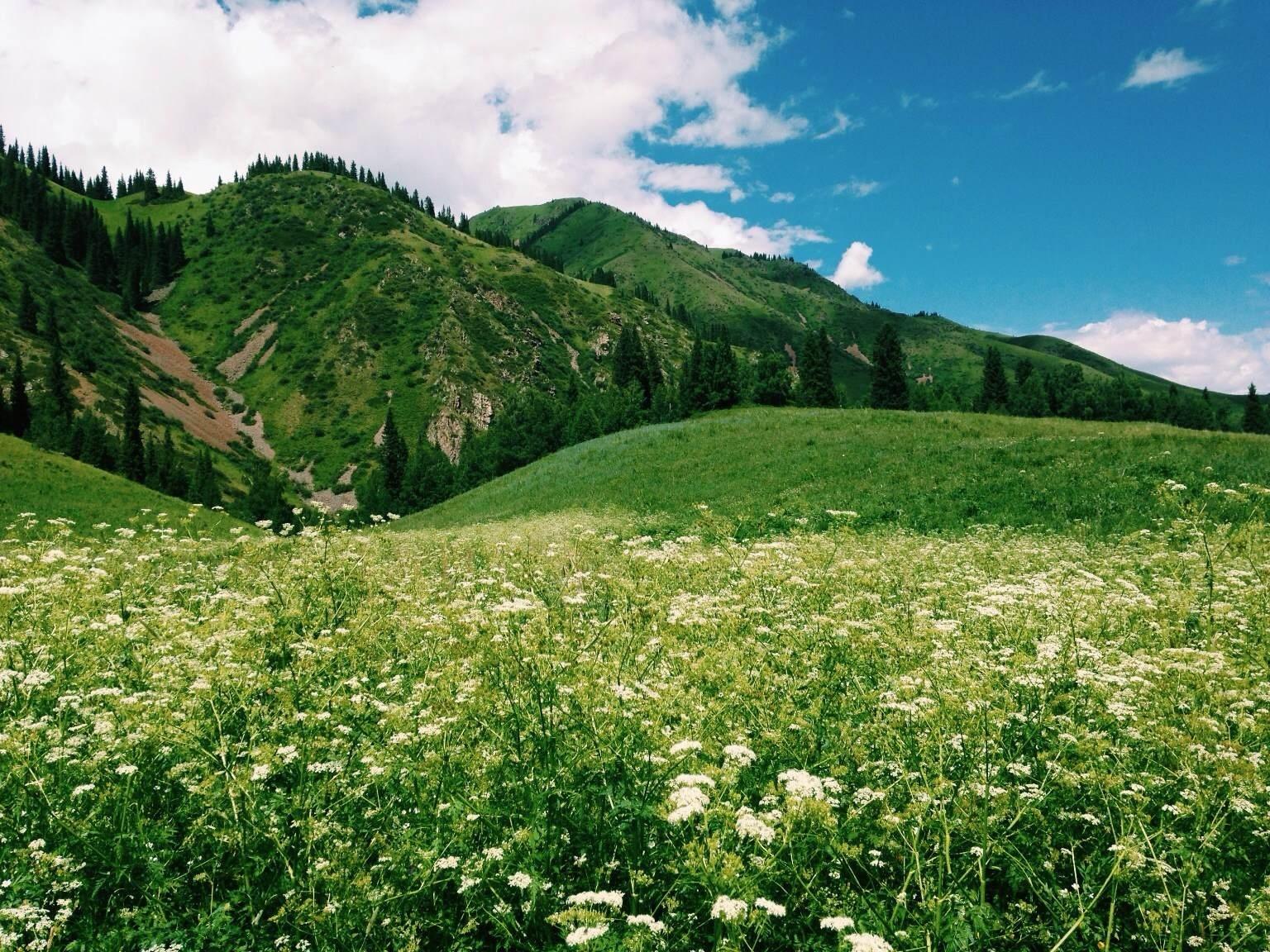 建国后收回的领土,建国后回归的领土