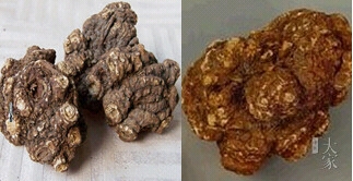 中药学川芎为什么能治头痛,中药川芎治疗头痛效果好