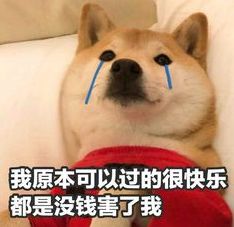 上海最新十大免费景点推荐,上海23个免费游玩的景点攻略