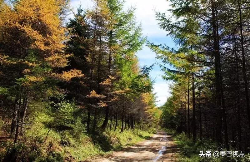 陕西大秦岭旅行视频,大秦岭宁陕养生长廊公园