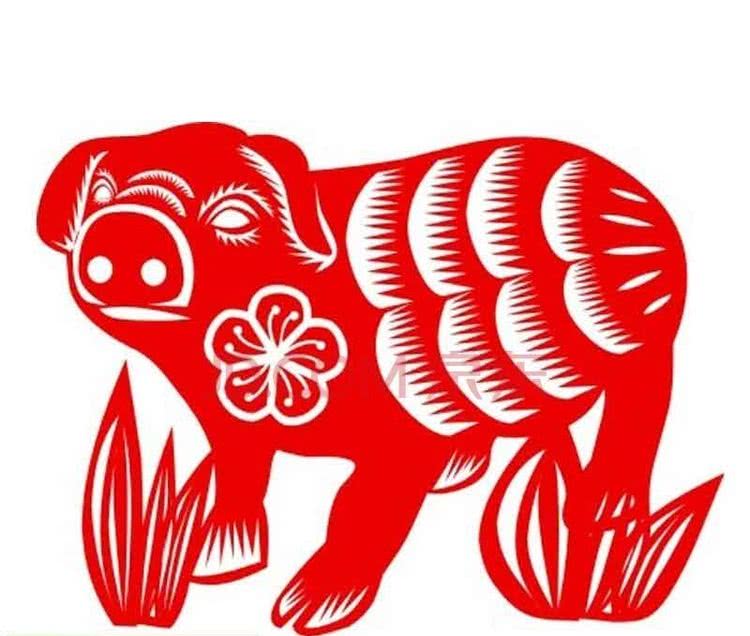 从丁亥到己亥—武昌水果湖中学六六届高三（1）班同学集会本命年