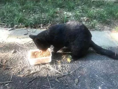 验孕棒、软中华、双开门冰箱……这届毕业生的甩卖市场很野啊