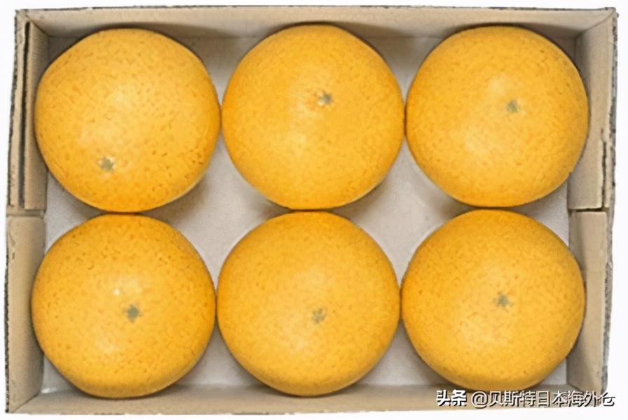 有助于燃烧脂肪的饮料,燃烧脂肪的食物列表