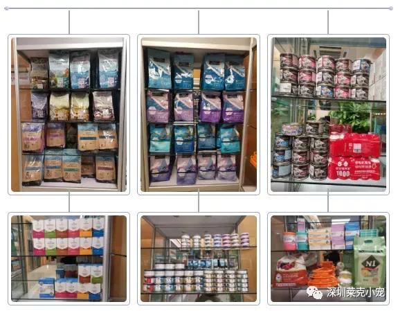 什么样的犬种能训练成导盲犬,导盲犬比较受欢迎的犬种