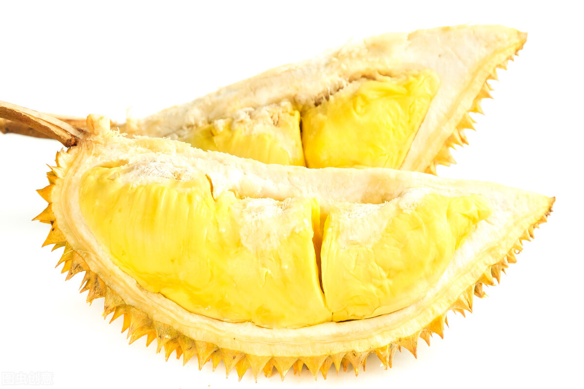 榴莲树和榴莲的生长过程,榴莲为什么是热带水果王