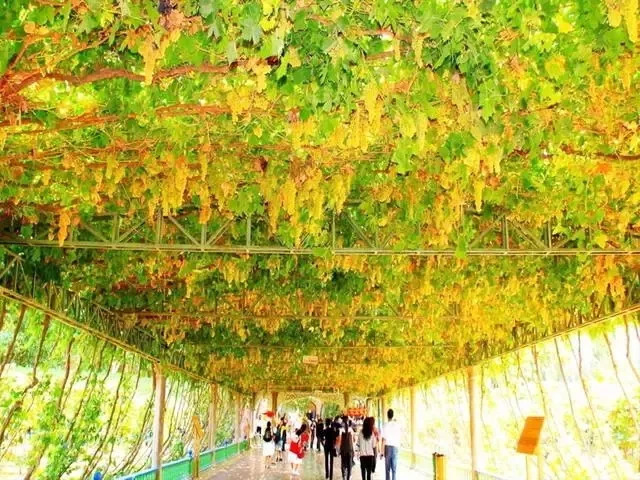 7月辽宁自驾旅游攻略图,夏季新藏线自驾游详细攻略