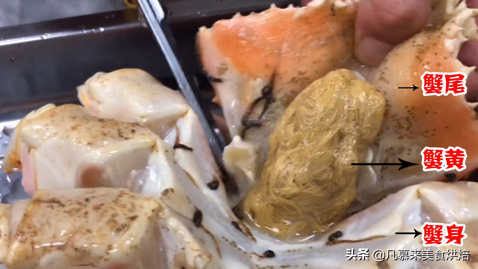 帝王蟹怎么处理？如何选购帝王蟹？哪种好吃？帝王蟹的五种吃法