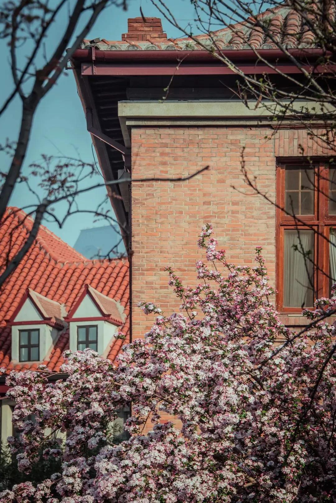 这就是天津完整视频,这就是天津南开