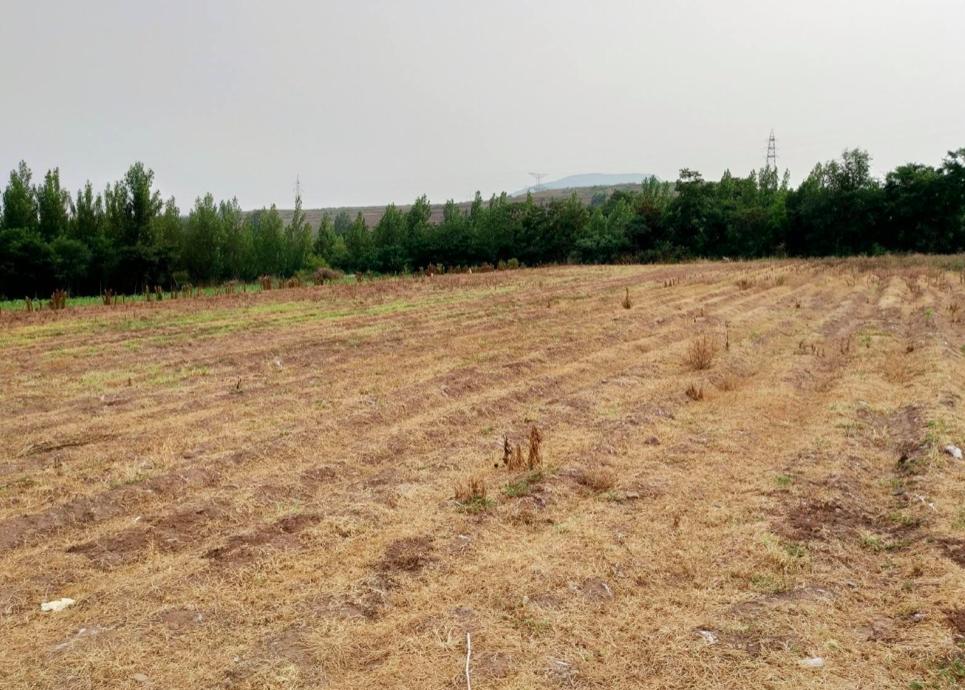 老话讲，“农村不作颠，街上不冒烟”，认识农村的重要性