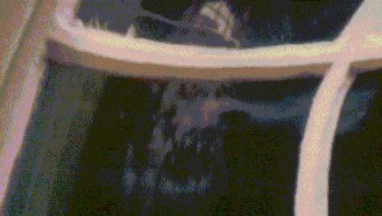 哈尔滨去威海亲子游,哈尔滨旅游攻略亲子游四天三夜