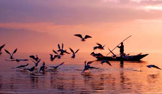 河南传统面食糕点,河南地方的特点面食有多少种呢