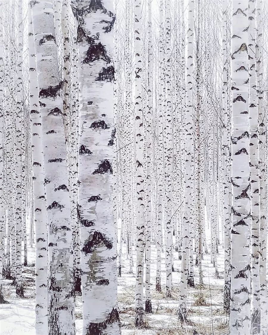 鍥涘缇庢爲,鐢板洯缇庢爲