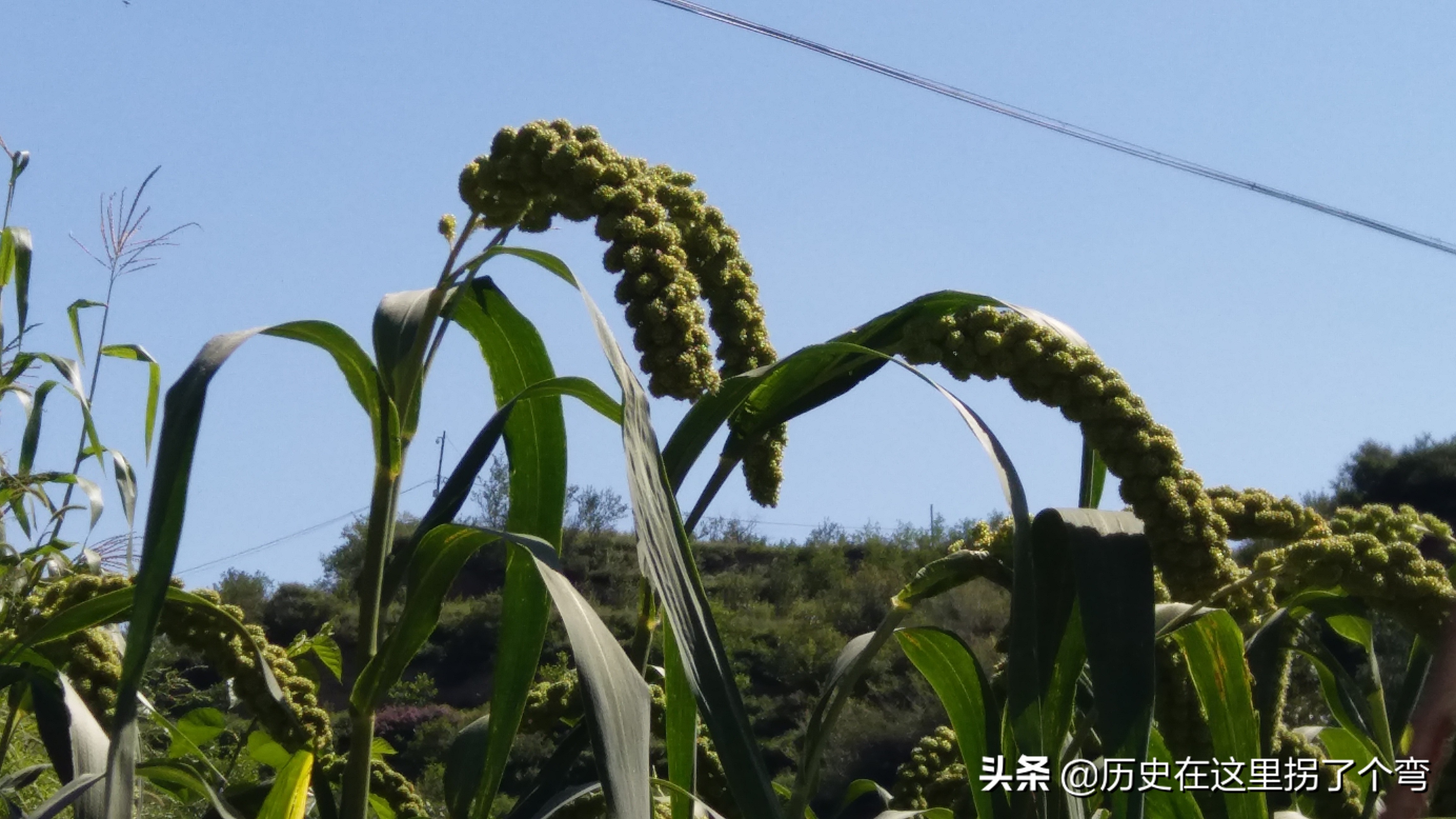 农耕文化一览表,农耕文明源头之十三