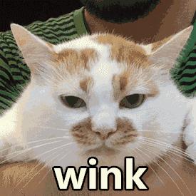 碰瓷娇兰、重金属超标，这家披日本皮的10元店你一定买过