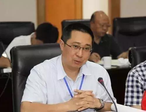 三峡大学的综合实力在全国排名,三峡大学有院士吗