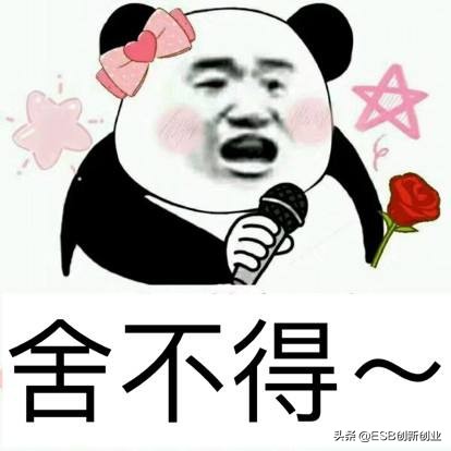 大学创业利大于弊论点,大学创业是给自己铺路吗