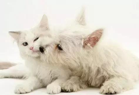 朋友的不同层次的表达,朋友的另外表达方式