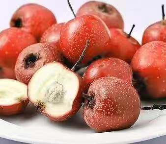 孕早期吃什么食物对胎宝宝有好处,孕妇怀孕初期有哪些不能吃的食物