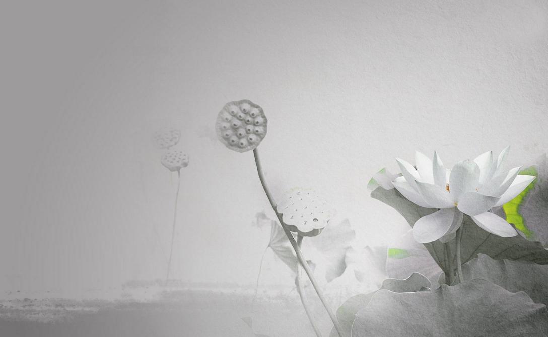 小学语文改写句子方法归类,小学语文改写句子有哪些形式