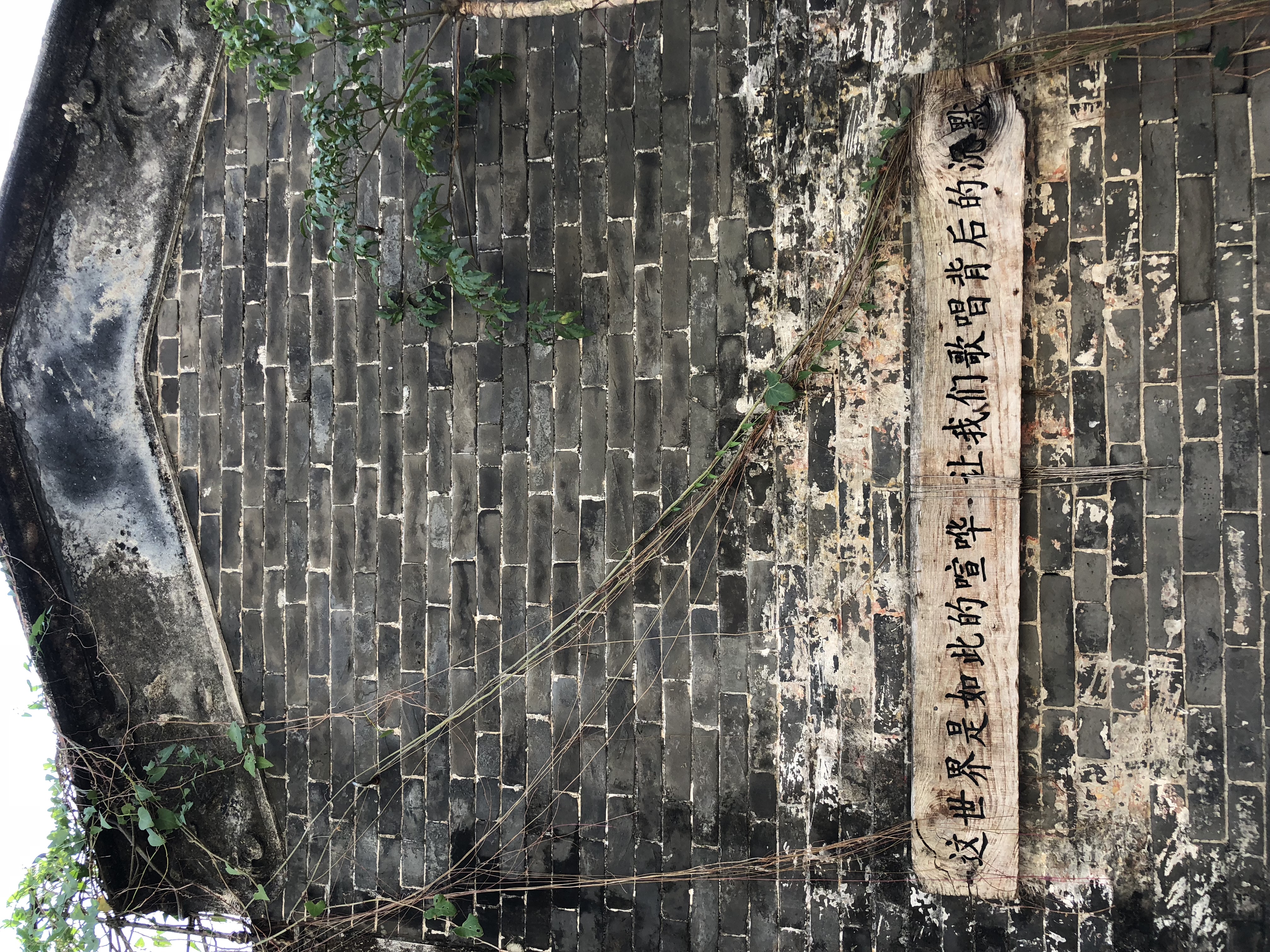 你眼中的珠海是什么样,外国眼中的珠海