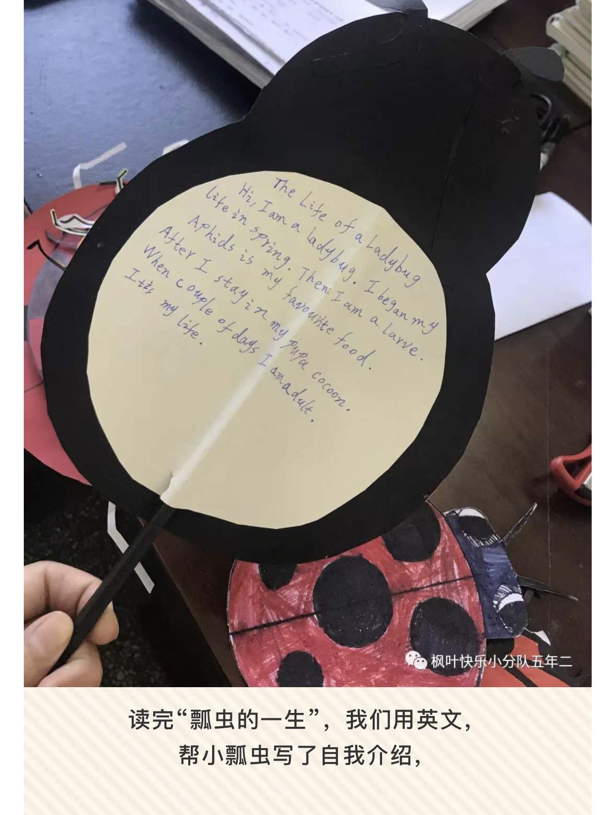 怎样提高班级学生的英语,如何改良班级氛围英语作文