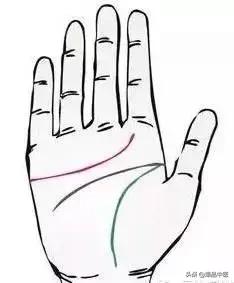 手诊图大全清晰图手背,全息手诊图