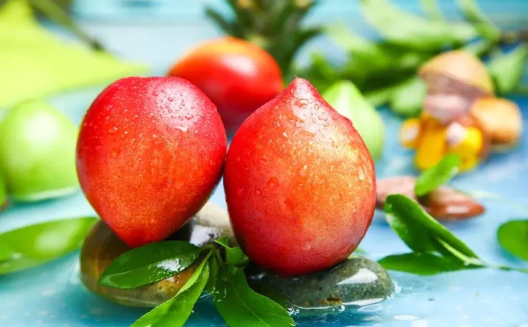 苏州西山十大知名农家乐有哪些,带你走一走苏州的太湖边农家乐