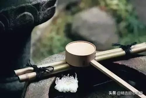 起早摸黑忙劳碌碌的生活,致起早摸黑忙劳碌碌的你