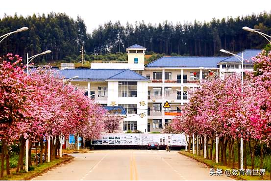 2021年柳州市初中升高中录取率,2020年柳州市中考网上报名全攻略