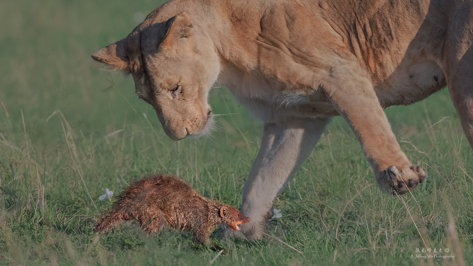 尼康d850完全摄影指南,尼康d850大变焦镜头推荐