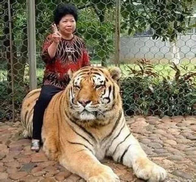 妈妈们拍的那些作妖照片，简直有毒。。。