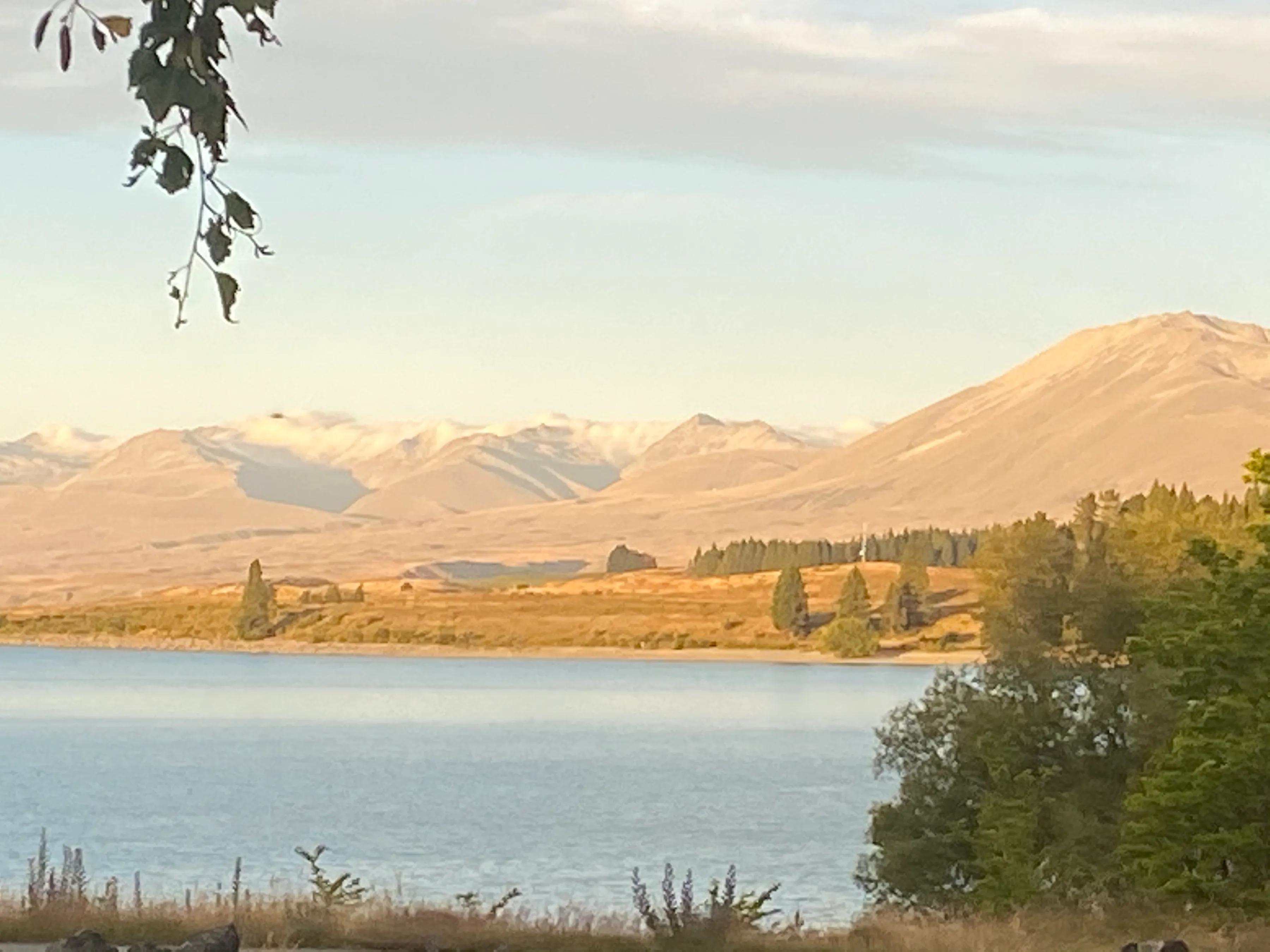 风吹过湖边,风吹过湖边柳树