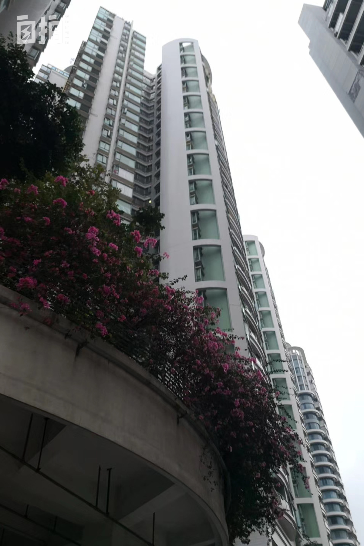 我在深圳买房的经历,深圳炒房人自述