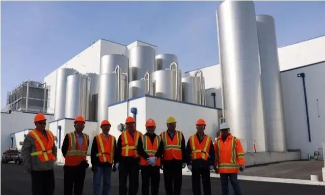 飞鹤君乐宝圣元,飞鹤澳优君乐宝奶粉