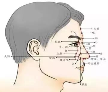 面诊舌诊手诊视频,面诊看舌诊图解