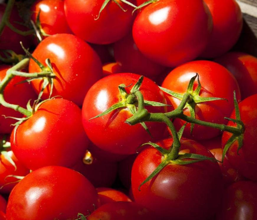 宁夏喜欢吃羊肉,宁夏吃羊肉喝什么