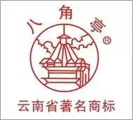 普洱茶中期老茶,中期老茶普洱茶