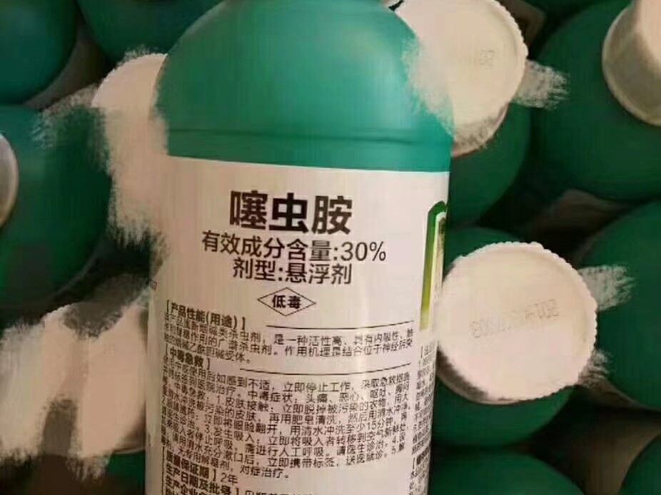 大蒜地蛆不上药能自生自灭吗,大蒜生地蛆11月份怎样治疗
