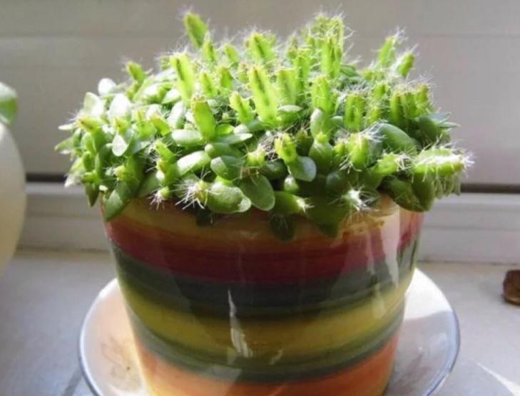 姘存灉鏋滄牳涓嶈鎵旂泦鏍界璧锋潵,涓夌姘存灉绫戒笉鑳芥斁鐩嗛噷