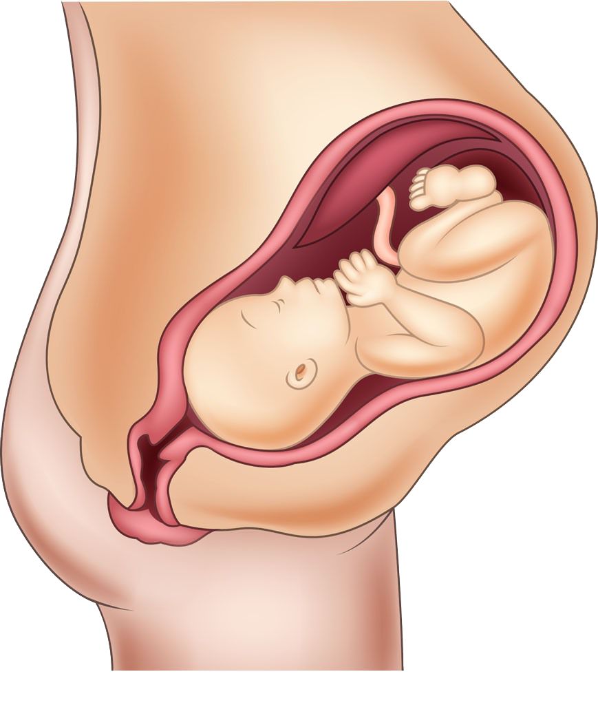 宝宝肠道有细菌正常吗,宝宝肠道里的菌少该怎么办