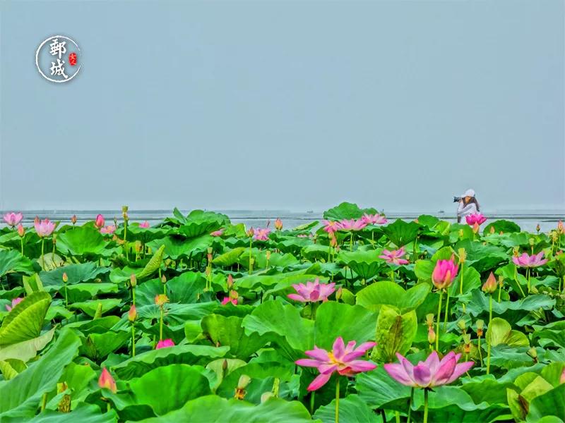 千年古驿站秀美高邮湖,秀美高邮湖
