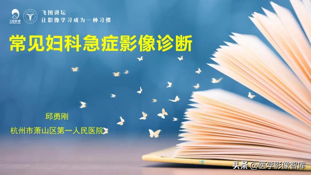 子宫解剖结构输卵管和卵巢位置,子宫附件ct影像学正常解剖表现