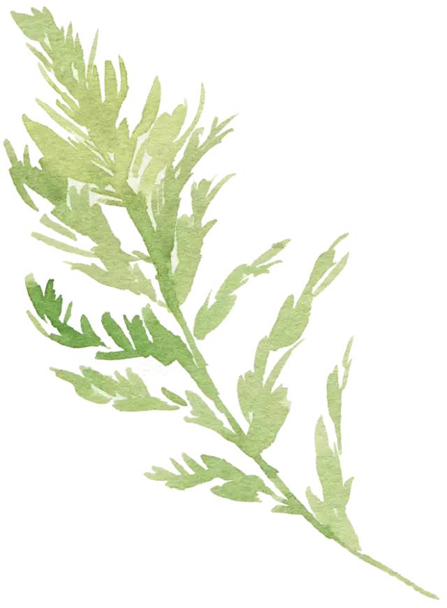 牙痛怎么办有三种方法治牙痛,治疗牙痛的方法小妙招