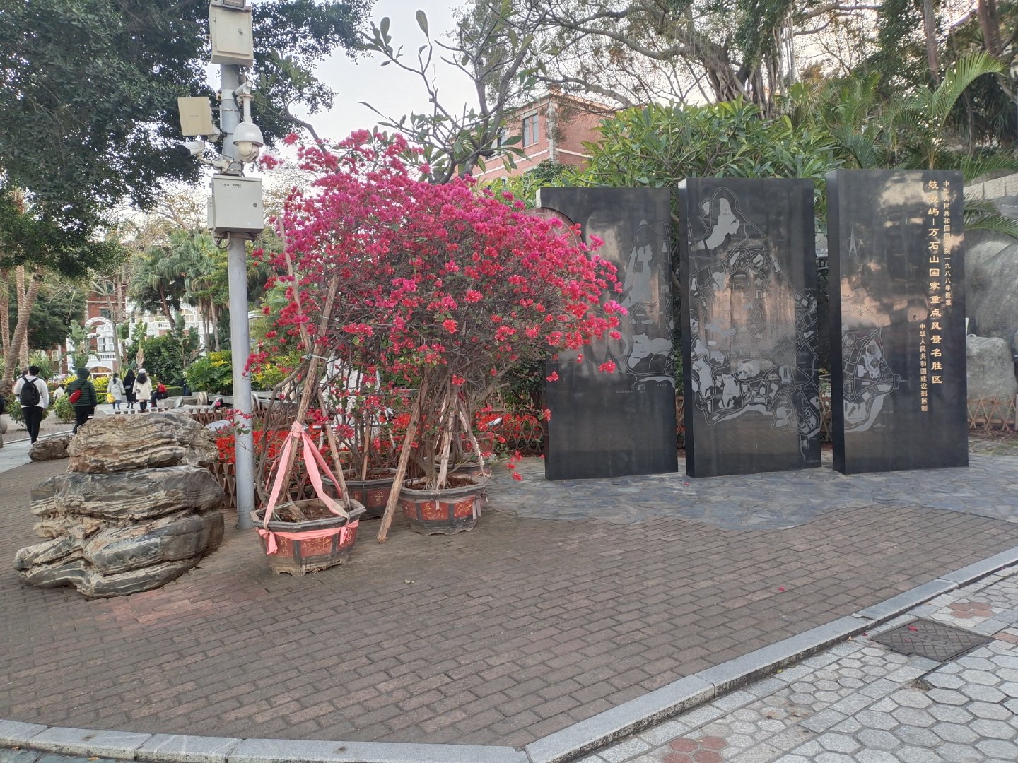 厦门不仅有美丽的风景还有好吃的,厦门旅游美食美景照片