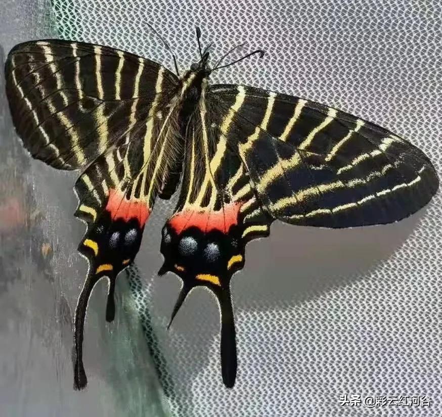 中国云南哪里好看,云南的云彩为什么好看