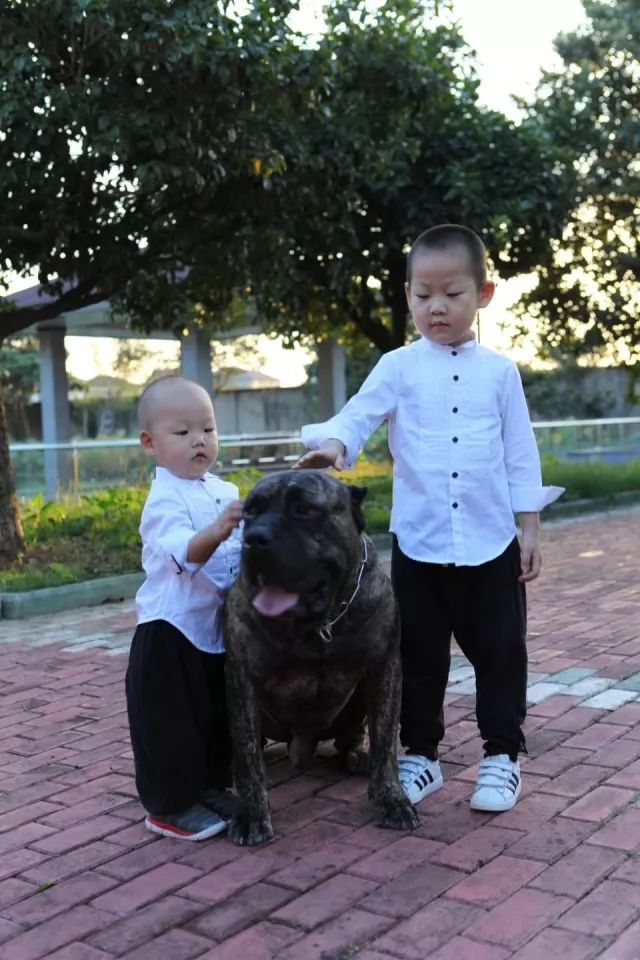 臻封面Vol.2|她是差不多小姐，更是狠角色美妈